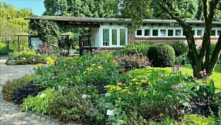 Veranstaltungen des Loki Schmidt Gartens Botanischer Garten